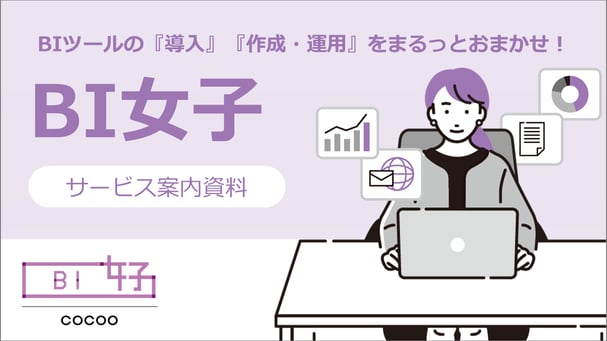 cocoo_bi_service_2024_v1